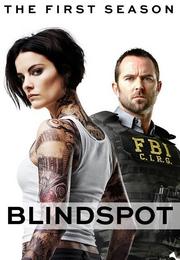 مسلسل Blindspot الموسم الاول 1 مترجم